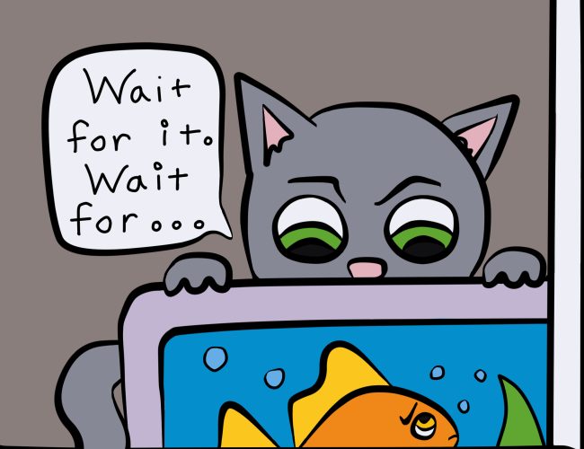 Cat computer Goals 2 ur corner